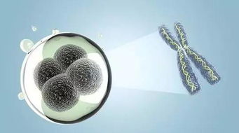 同是ncrna研究,你離國自然中標還有多遠