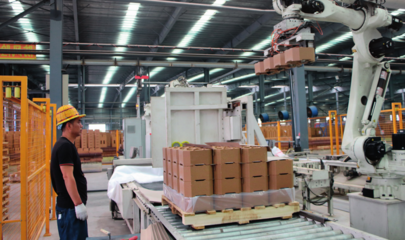 瞭望丨&ldquo;世界鎂都&rdquo;治亂記